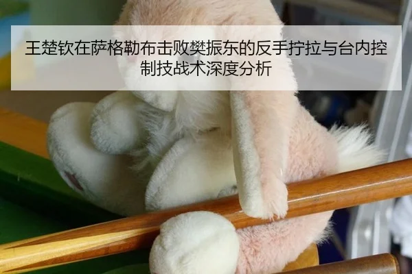 王楚钦在萨格勒布击败樊振东的反手拧拉与台内控制技战术深度分析